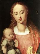 Albrecht Durer Madonna and Child with the Pear oil on canvas